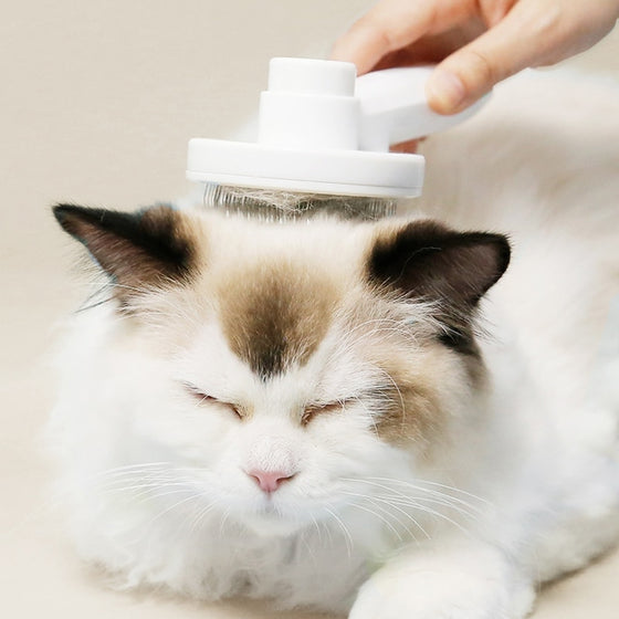Cat Comb Hair Removal