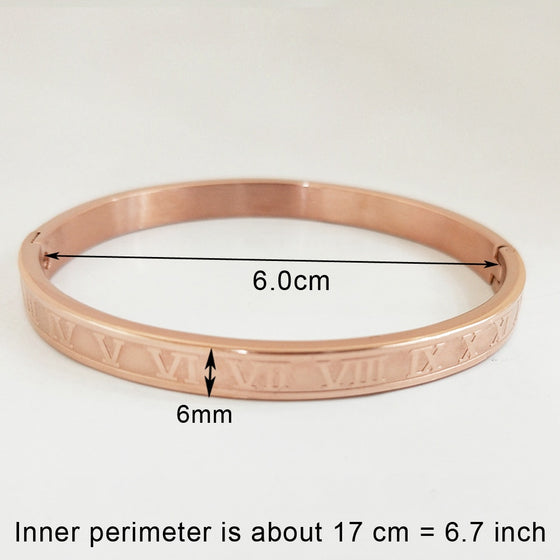 Titanium/Stainless Steel Bangle Bracelet