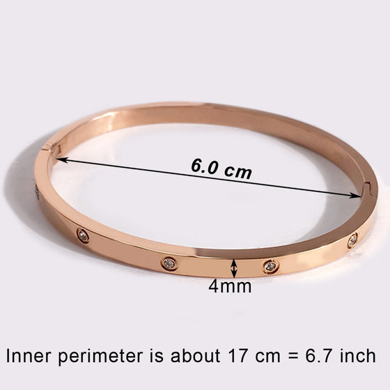 Titanium/Stainless Steel Bangle Bracelet