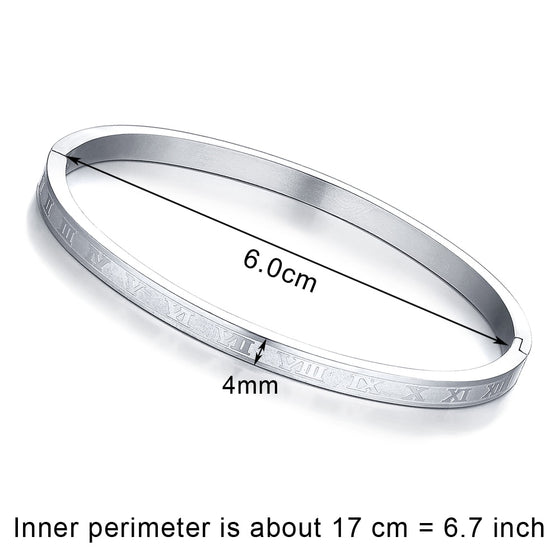 Titanium/Stainless Steel Bangle Bracelet