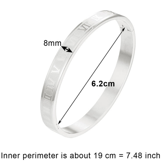 Titanium/Stainless Steel Bangle Bracelet