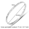 Titanium/Stainless Steel Bangle Bracelet