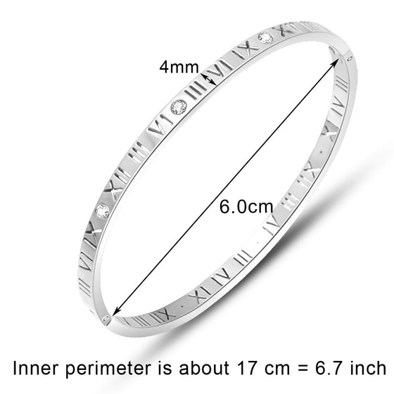 Titanium/Stainless Steel Bangle Bracelet