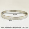 Titanium/Stainless Steel Bangle Bracelet