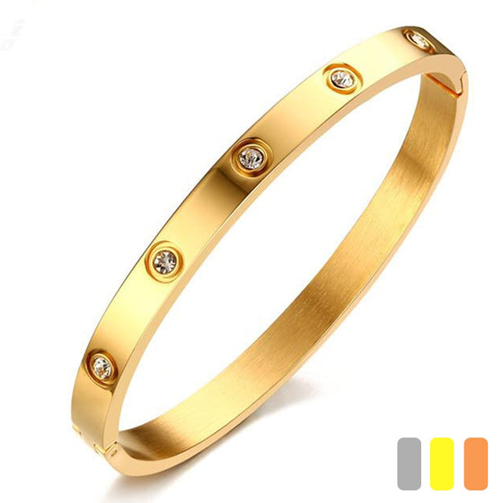 Titanium/Stainless Steel Bangle Bracelet