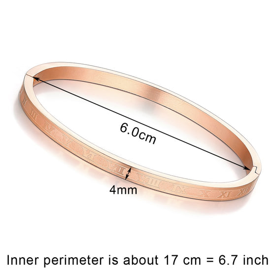 Titanium/Stainless Steel Bangle Bracelet