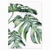 Tropical Plant Scandavian Design Poster - Deal Digga