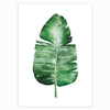 Tropical Plant Scandavian Design Poster - Deal Digga