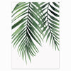 Tropical Plant Scandavian Design Poster - Deal Digga