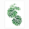 Tropical Plant Scandavian Design Poster - Deal Digga