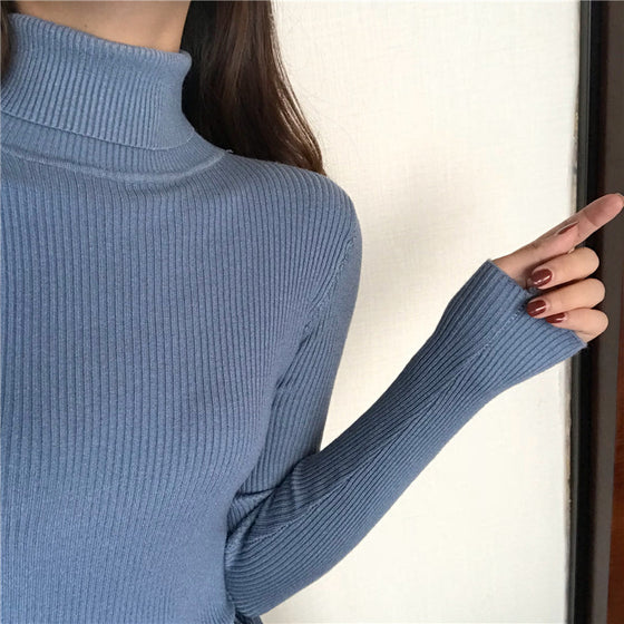 Ribbed Long Sleeve Turtleneck - Deal Digga