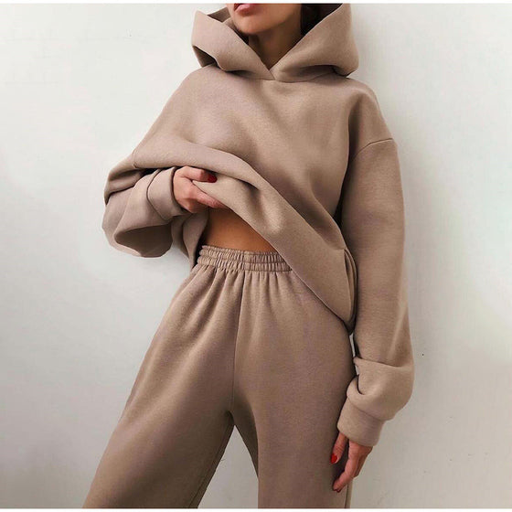 Hoodie and Sweatpants Casual Fleece Two Piece Set - Deal Digga