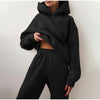 Hoodie and Sweatpants Casual Fleece Two Piece Set - Deal Digga