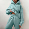 Hoodie and Sweatpants Casual Fleece Two Piece Set - Deal Digga